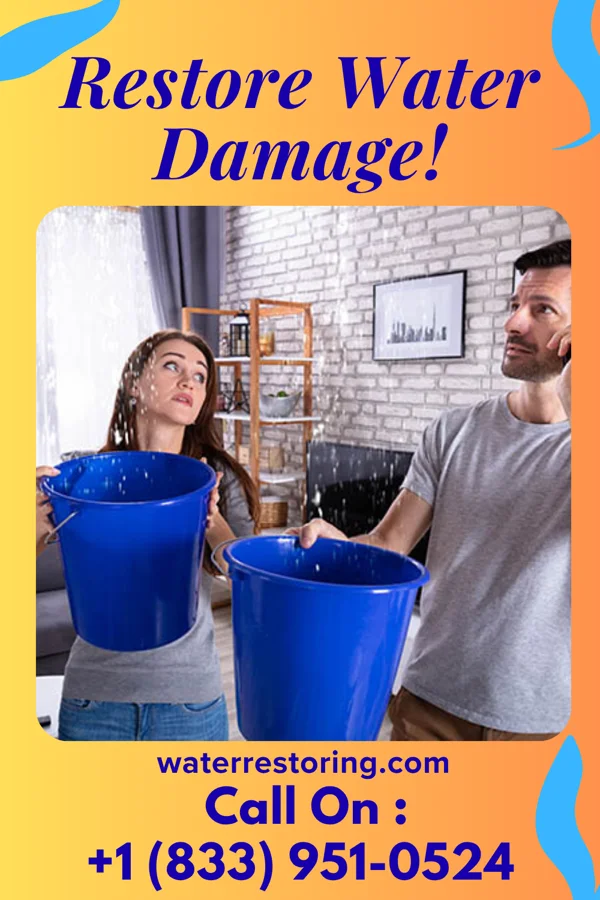 water restoration Sentinel Recovery LLC Battle Creek