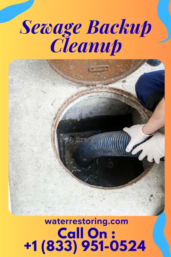 Sewage Backup Cleanup in Battle Creek, MI